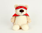 Personalized Stuffed Animal Embroidered with Custom Design